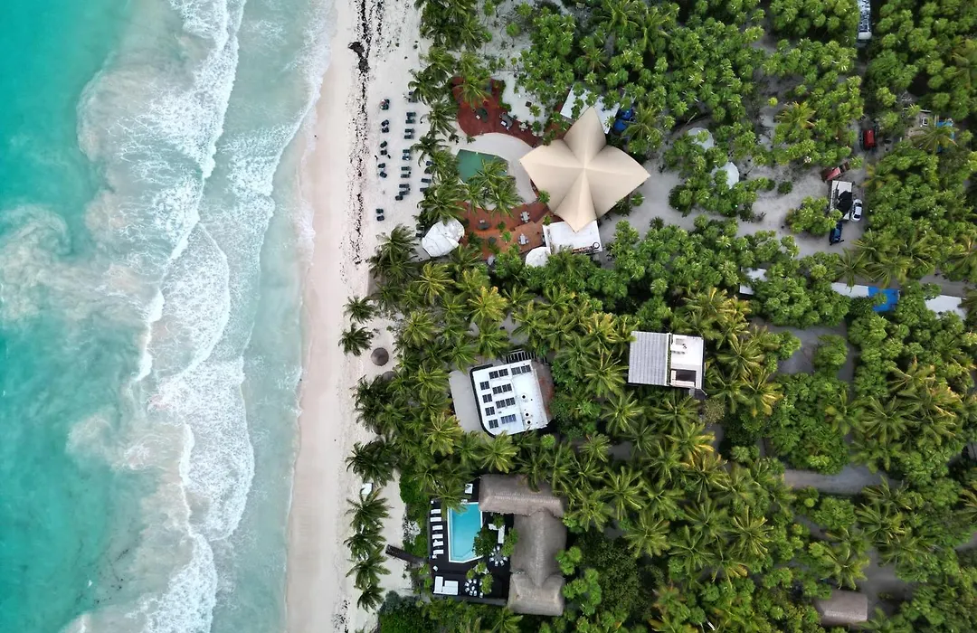 Olas Tulum-1