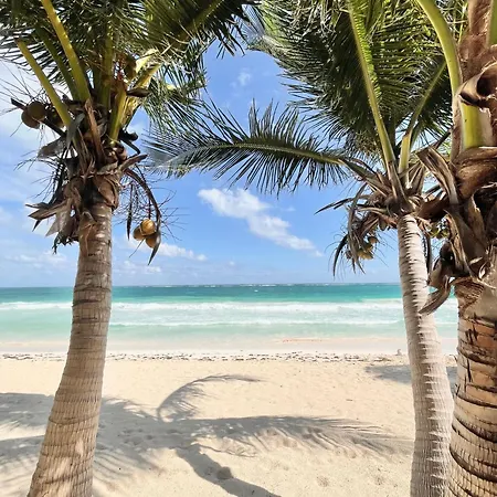 Olas Tulum-3